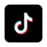 TikTok Logo